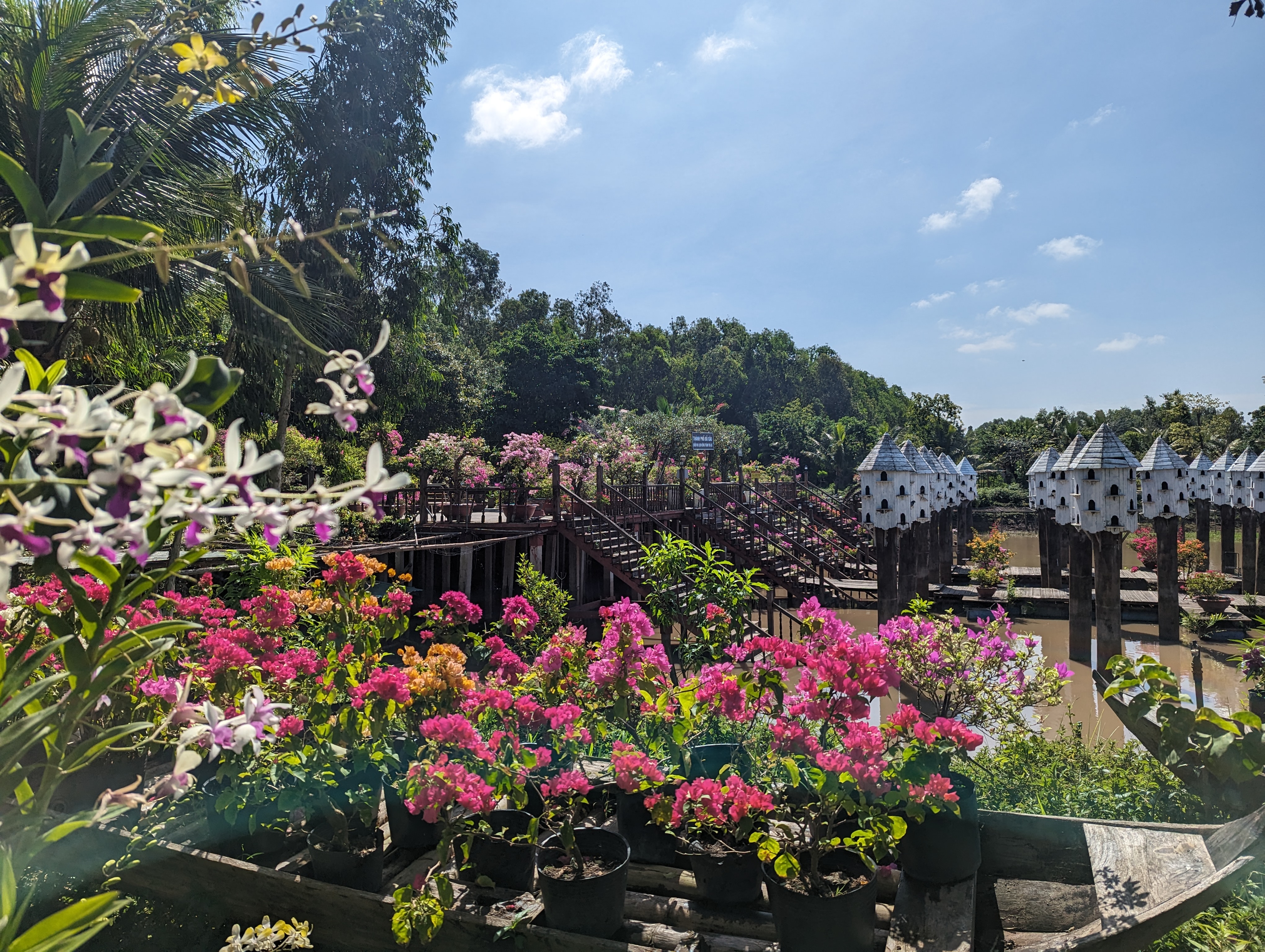 Bougainvillea and orchids along a riverside garden walkway