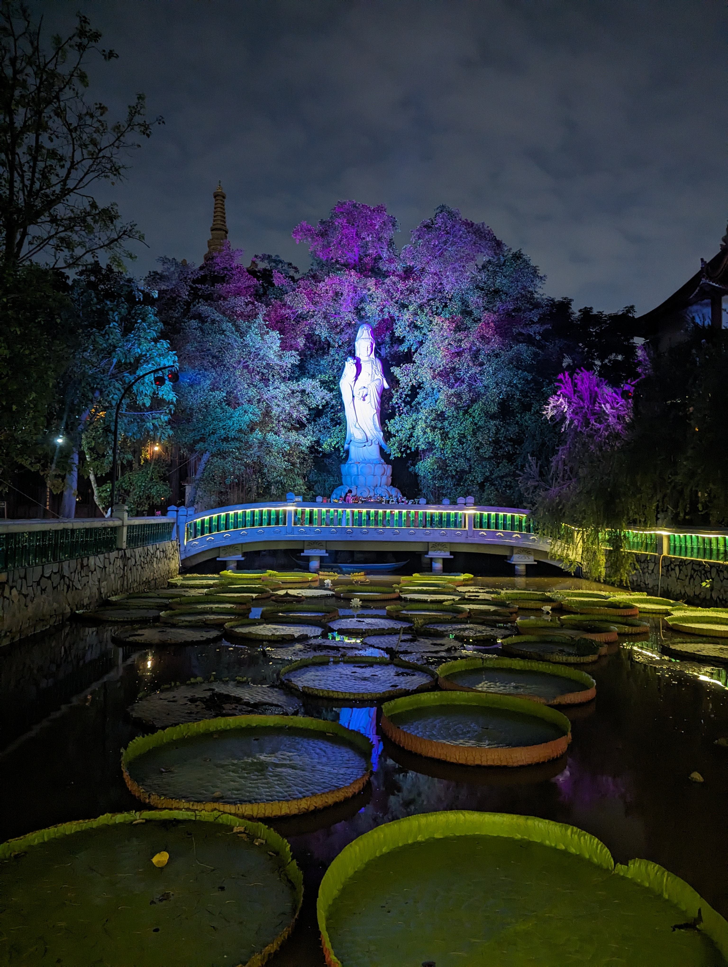 Quan Âm statue lit above a lily pond at night