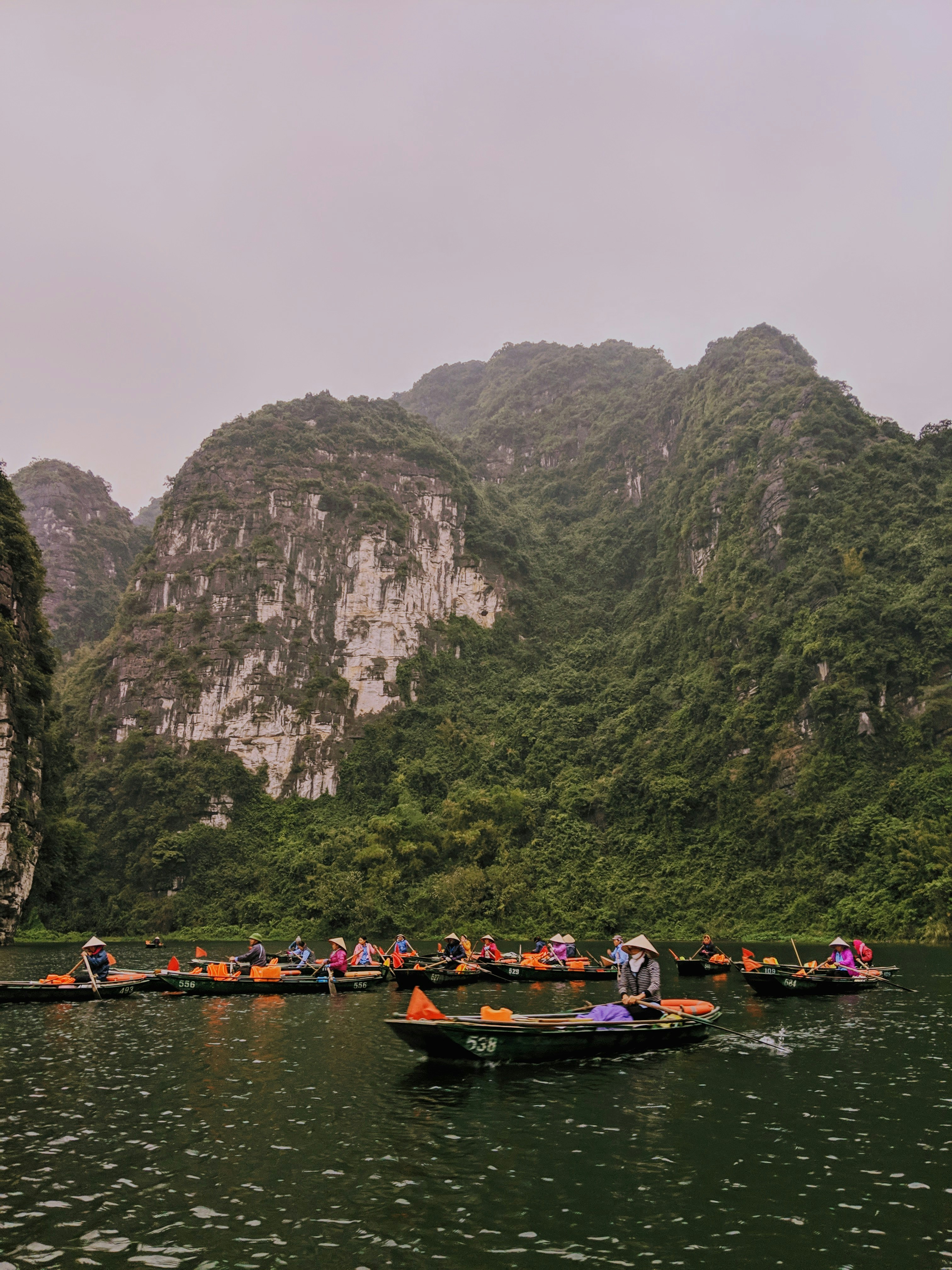 A fleet of rowboats crossing the water at Tràng An