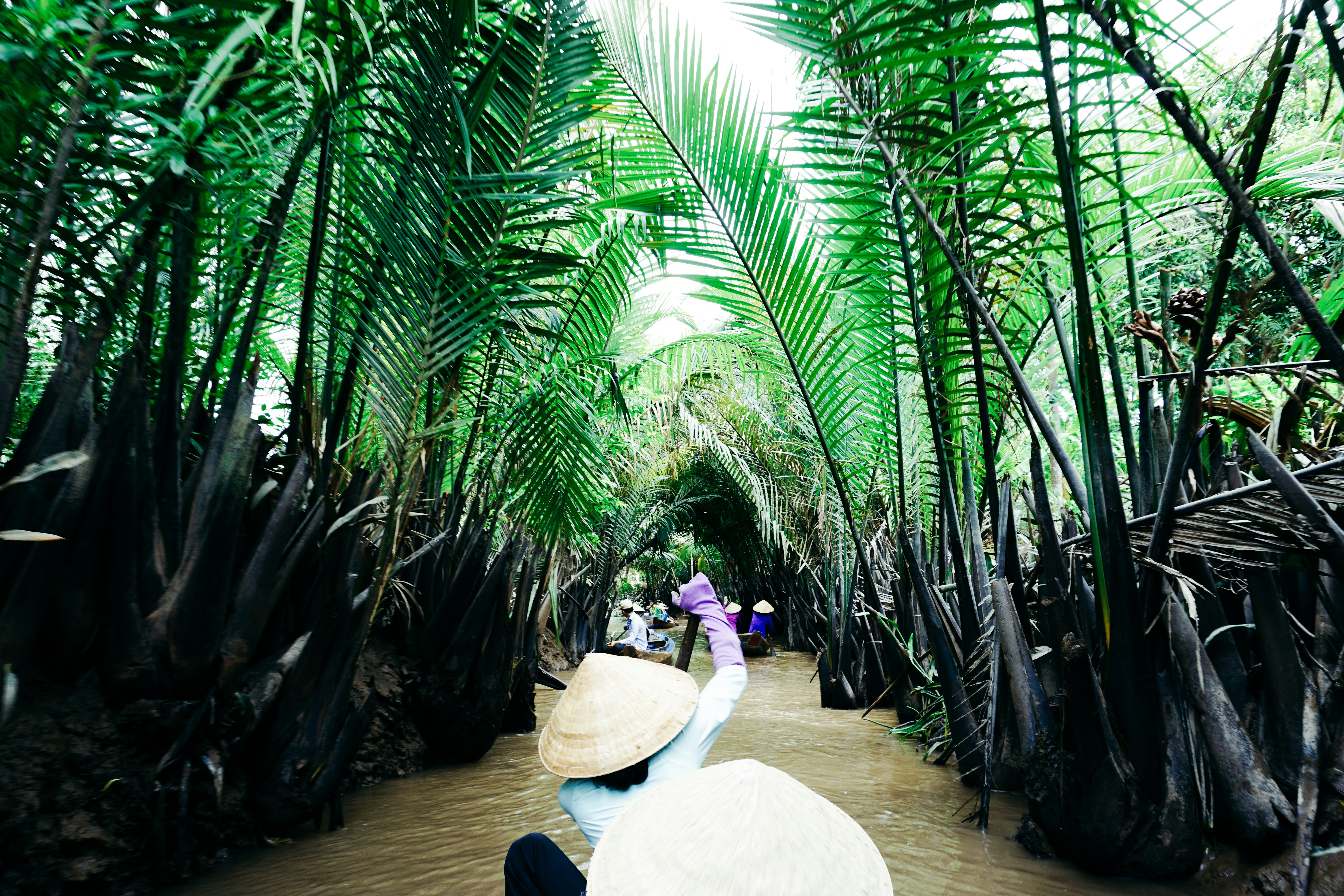 Rowing a sampan down a narrow palm-lined Mekong canal